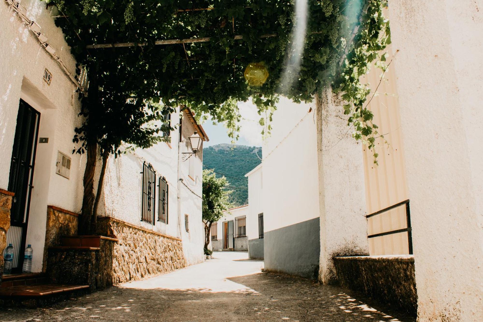 Apartamentos El Callejon Riopar Bagian luar foto